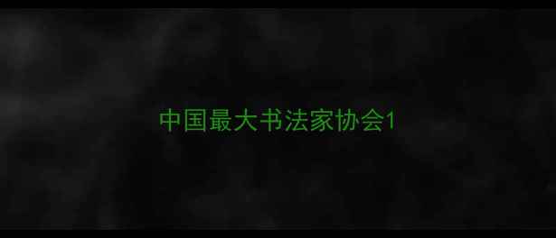 图片 中国最大书法家协会1