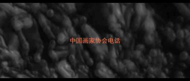 图片 中国画家协会电话