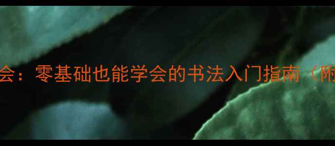 图片 中国香港书画家协会：零基础也能学会的书法入门指南（附香港文化冷知识）