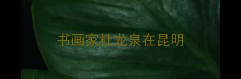 图片 书画家杜龙泉在昆明