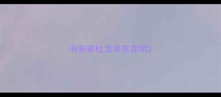 图片 书画家杜龙泉在昆明2
