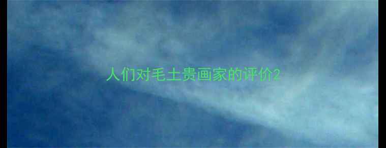 图片 人们对毛土贵画家的评价2