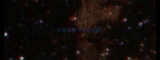 图片 华章是哪个市书法家1