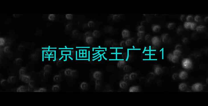图片 南京画家王广生1