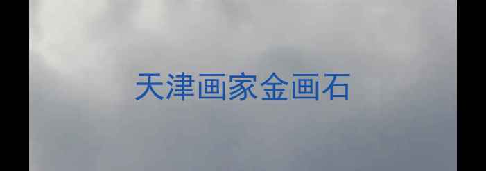 图片 天津画家金画石