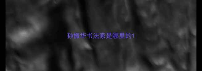图片 孙振华书法家是哪里的1