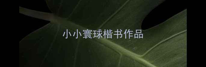 图片 小小寰球楷书作品
