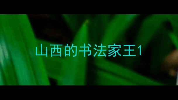 图片 山西的书法家王1