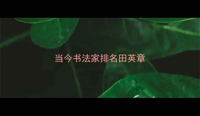 图片 当今书法家排名田英章