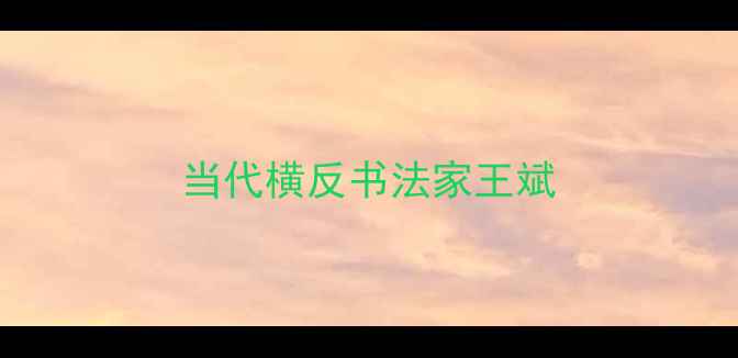 图片 当代横反书法家王斌