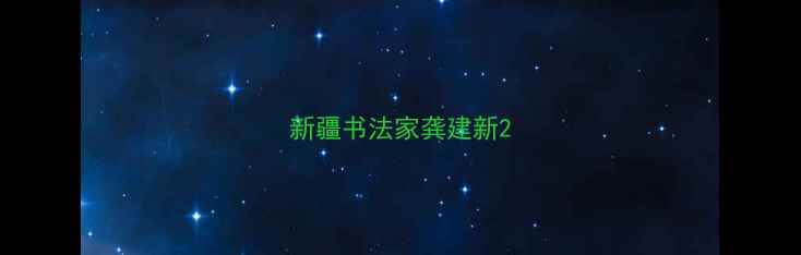 图片 新疆书法家龚建新2