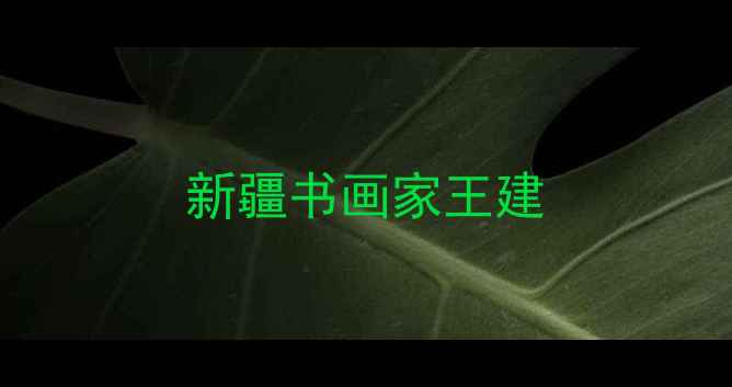 图片 新疆书画家王建