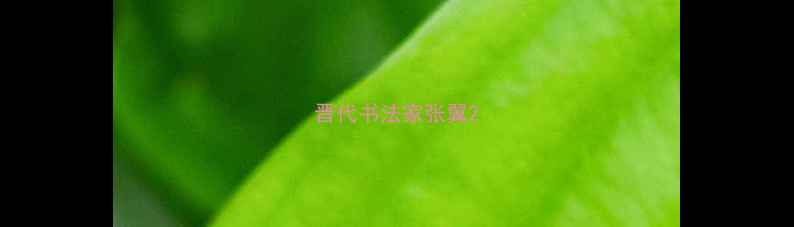 图片 晋代书法家张翼2