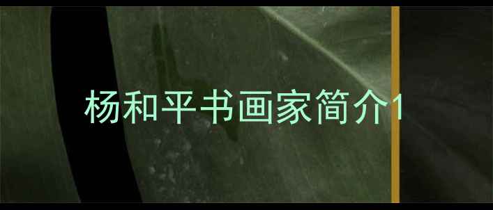图片 杨和平书画家简介1