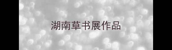 图片 湖南草书展作品