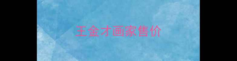 图片 王金才画家售价