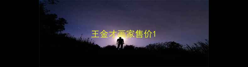 图片 王金才画家售价1