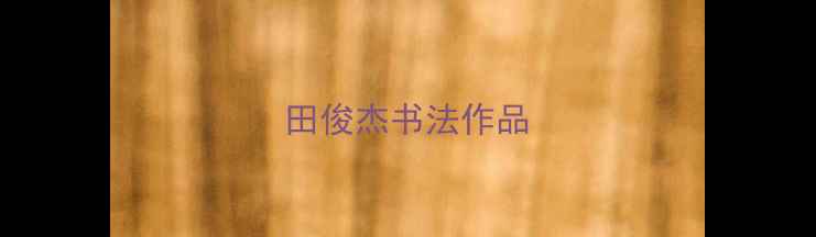 图片 田俊杰书法作品