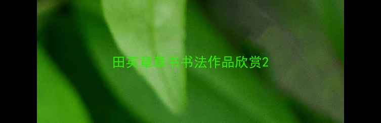 图片 田英章草书书法作品欣赏2