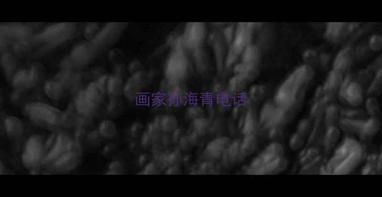 图片 画家孙海青电话