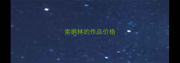 图片 索枫林的作品价格