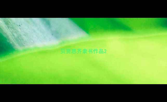 图片 贝贤思齐隶书作品2