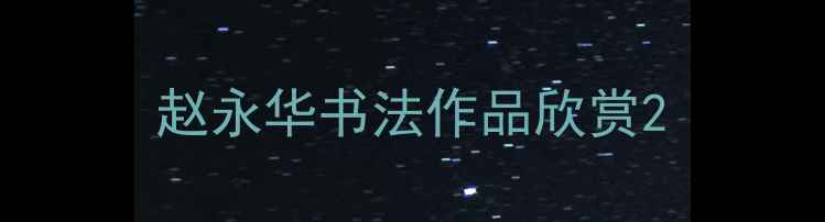 图片 赵永华书法作品欣赏2