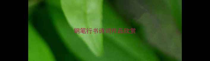 图片 钢笔行书诗词作品欣赏