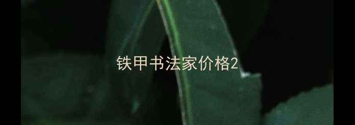 图片 铁甲书法家价格2