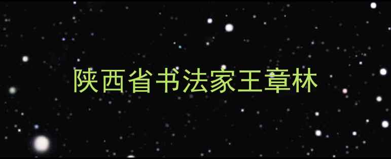 图片 陕西省书法家王章林