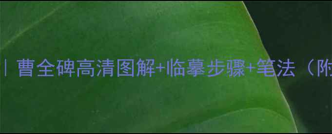 图片 隶书入门必看｜曹全碑高清图解+临摹步骤+笔法（附手把手教学）
